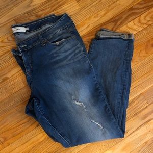 Torrid Jeans :: Size 16 :: Skinny